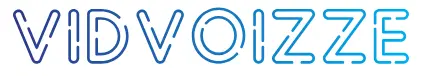vidvoizze